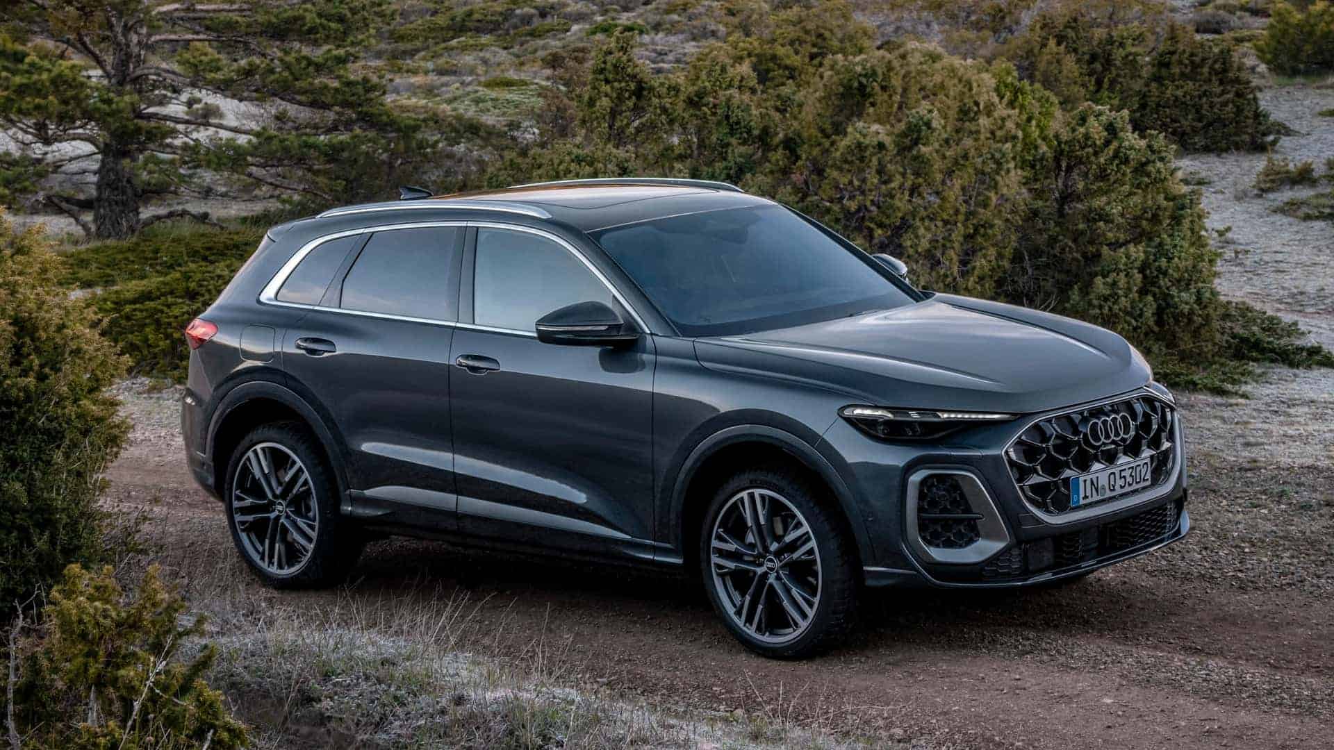 2025 Audi Q5